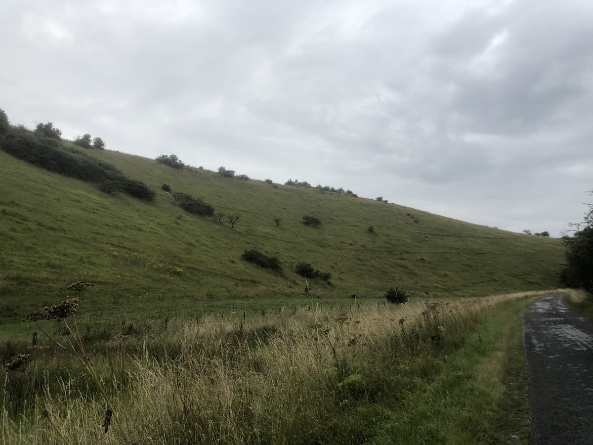 JonoWBetts's tweet photo. Nice to be back in the British countryside again. 🌞😊 #backhome #familyvisit https://t.co/F4pqtKVETa