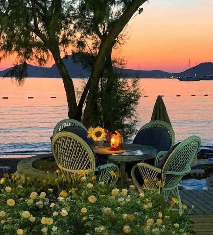 İyi akşamlar.. 🌻🌻💧