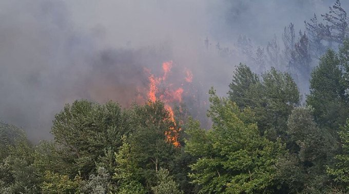 HergelePostasi's tweet photo. Türkiye'nin en sık ormanlarına sahip olan ve şehrin %72'si ormanlardan oluşan Karabük'te yangın saatler ilerledikçe büyüyor.

Bölge halkı acil destek talep ediyor.

Yaygınlaştıralım.

 #KarabükYanıyor https://t.co/ANRT6yKixb