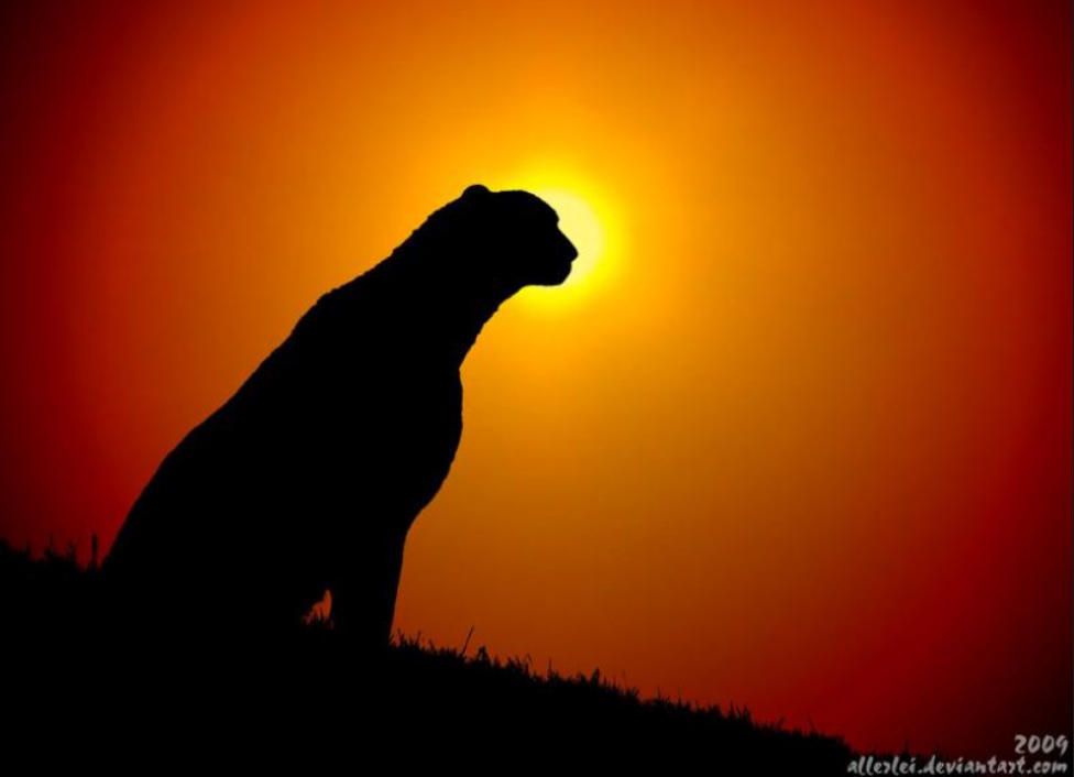 joni 🦋 tweet media