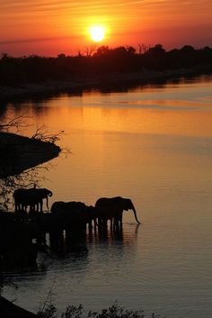 joni 🦋 tweet media