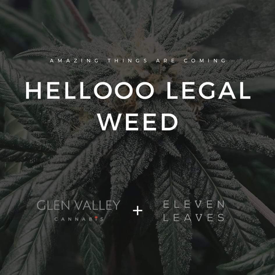 Well the day has come and we are at a loss for words’! A lot of hard work a lot of 🌱 and a lot of 💚! Watch out Canada we coming for you