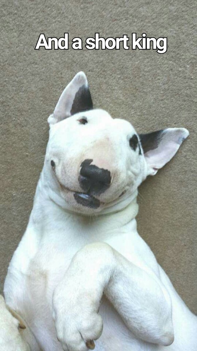 Nettles (@nettlesclash) on Twitter photo 