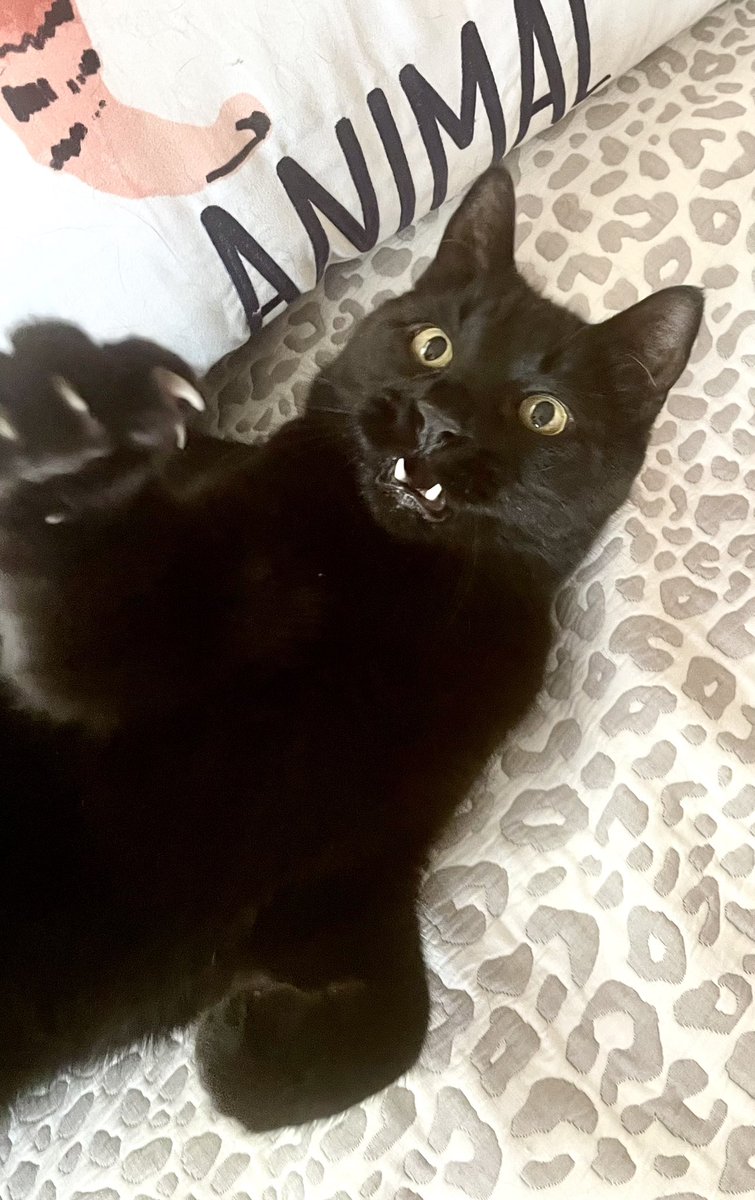 3rdofMay's tweet photo. ❤️Felix❤️ https://t.co/4XASo9jyZ5