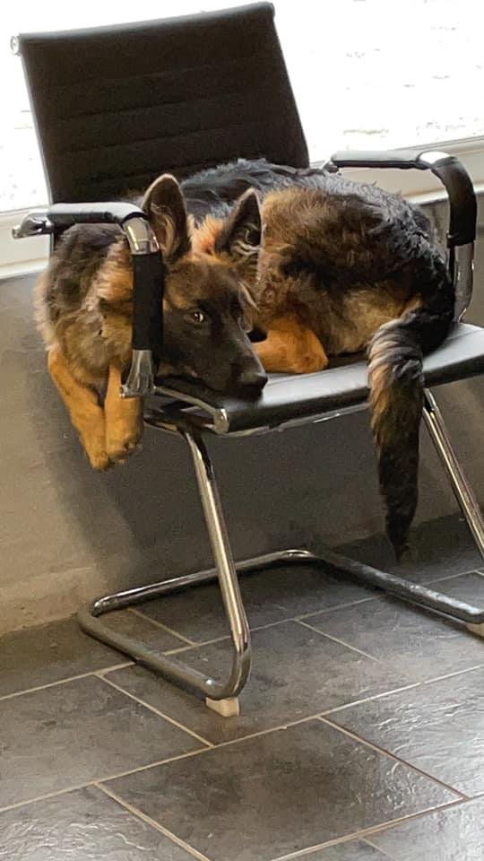 TickSolutions tweet media