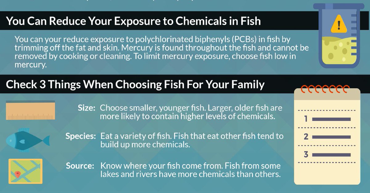 DHSWI's tweet photo. Besides tasting good, fish provides lots of good nutrition. Taking these simple steps will help you and your family enjoy fish safely this summer.https://t.co/ByIYJx7IXx #eatsafefish #FridayFishFry https://t.co/AJ0nWljtaf