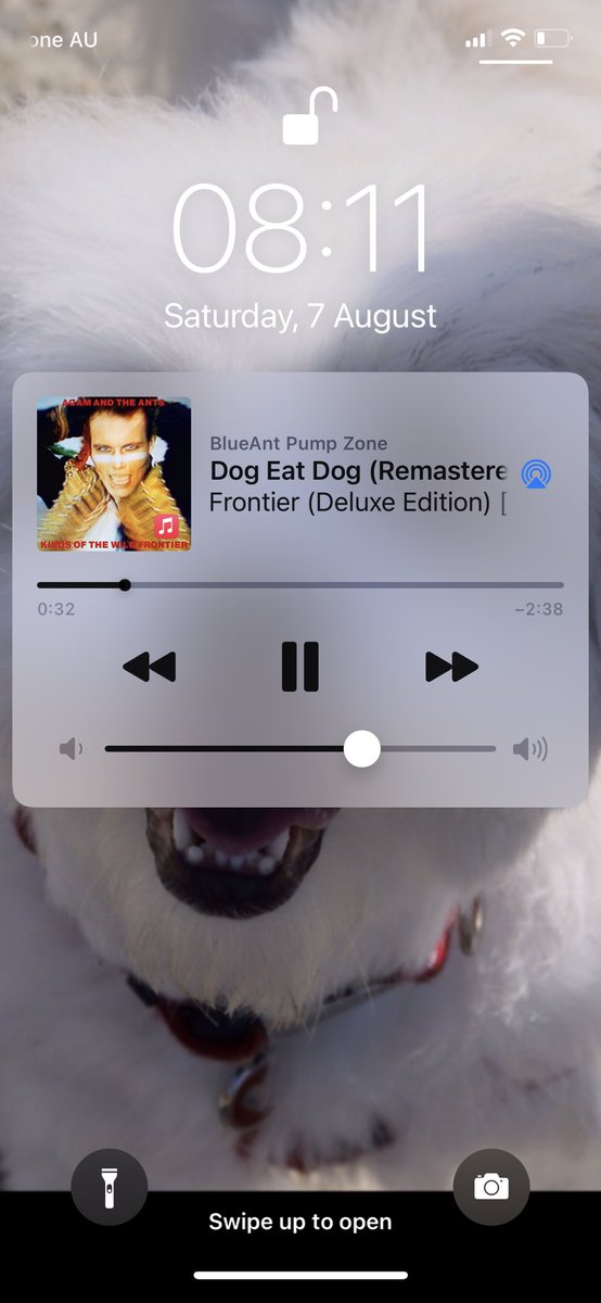 Karen Chapman tweet media