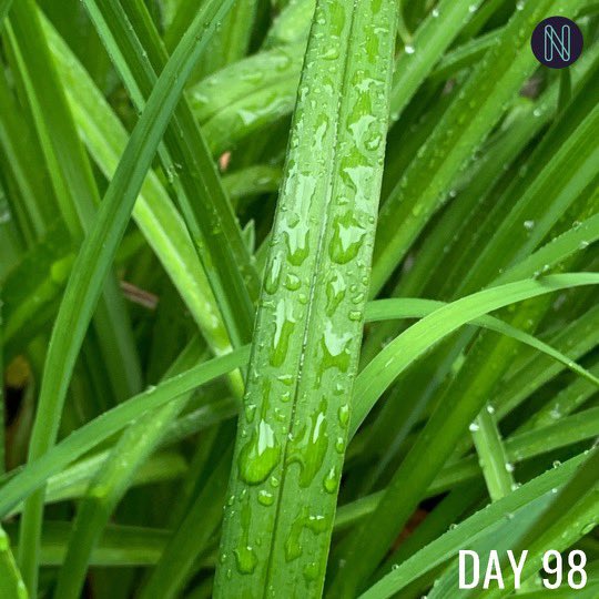 Inspiration North tweet media