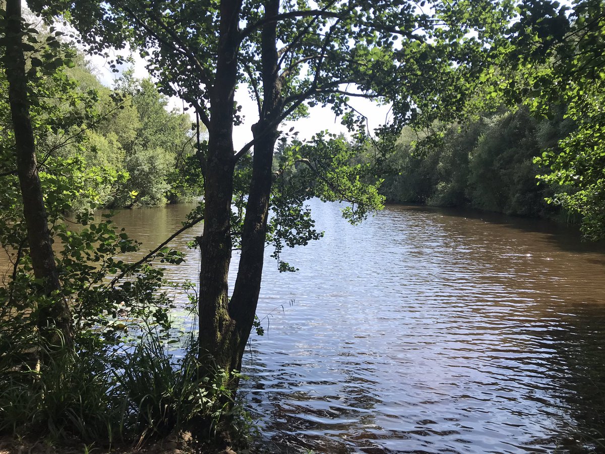 F_F_Podcast's tweet photo. Speech House Lake, aka The Lake of Avalon (and also nearly every other lake you ever see in Merlin 😆)
#Wales #WelshHiatus
#Merlin https://t.co/BbHsrc7QsH