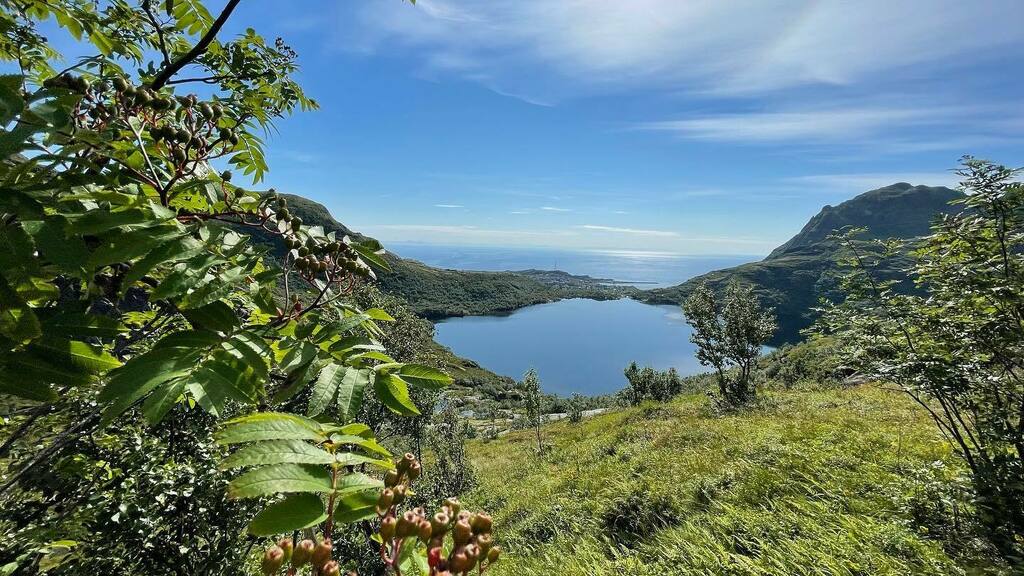 Hiking picture! Being drawn to mountains and waterfalls I just had to run up a narrow path towards a small waterfall. They’re always more impressive from a distance. At least one was 😂 The view was good, though 🙌🏽