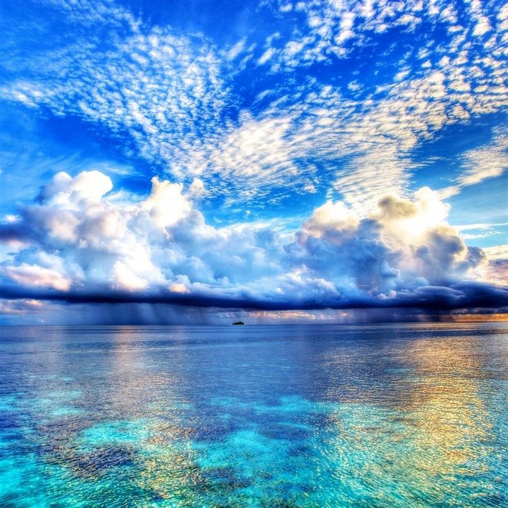 Communication is Essential,as is respect &amp; mutual understanding! Trust is knowing one you love &amp; loves you would never,ever hurt you intentionally!In friendships &amp; in love we all get hurt but never intentionally! I'm so sensitive when someone hurts,I hurt double!❤My ♥️brakes🥰😍