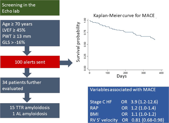 Edgar Argulian (@argulian) on Twitter photo How to identify high-risk elderly patients with a high burden of cardiac amyloidosis in the echo lab?
<a href="/HFpEF/">Sanjiv J. Shah, MD</a>
ajconline.org/article/S0002-… How to identify high-risk elderly patients with a high burden of cardiac amyloidosis in the echo lab?
<a href="/HFpEF/">Sanjiv J. Shah, MD</a>
ajconline.org/article/S0002-…
