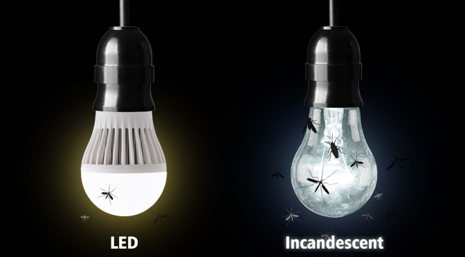 Switch_Lighting's tweet image. Did you know...  Insects are least attracted to LED Lights, in all color temperatures. LED lights have higher wavelengths which make them "invisible" to bugs! Switch out your yard and camping lights to LED and revel in the buzz-free atmosphere. #Bugs #LEDLights