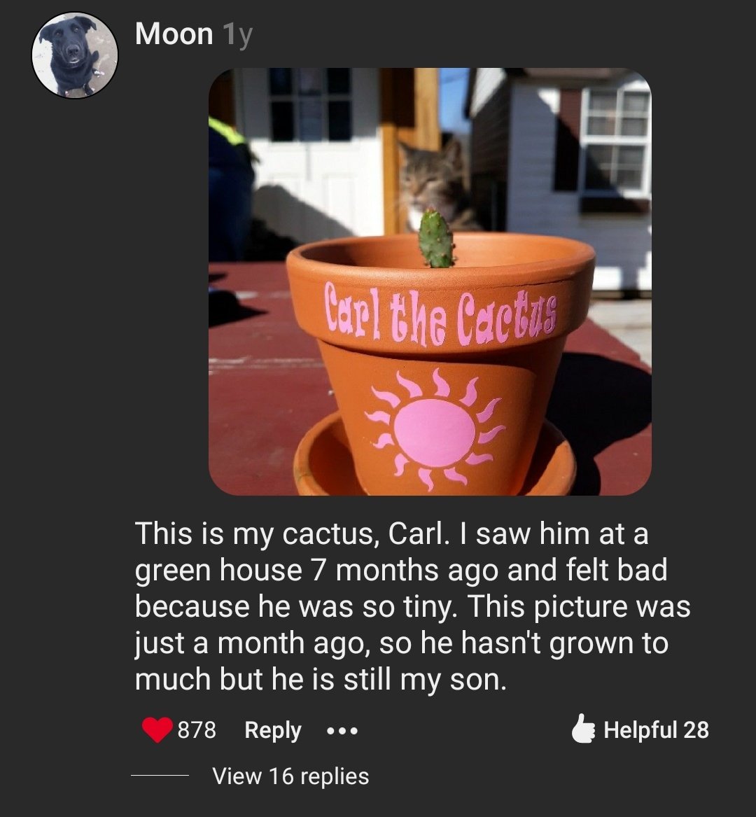 GurdiansW's tweet photo. We help random things in need cause we think they're sad. https://t.co/UMUQ8cqScw