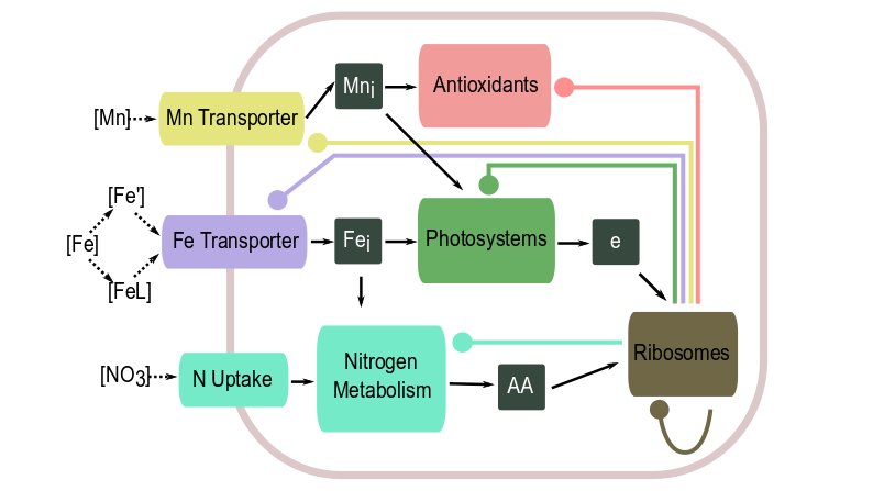 scottmccain5's tweet photo. Super excited to share one of my thesis chapters! We developed a proteomic allocation model of a diatom to study how protein expression is changed by trace metals (Fe and Mn) (1/6) https://t.co/a7MZJjePQ4 @biogeoscapes @altagliabue @MicrobialOcean @andreweallen https://t.co/jc2NRe5gmt