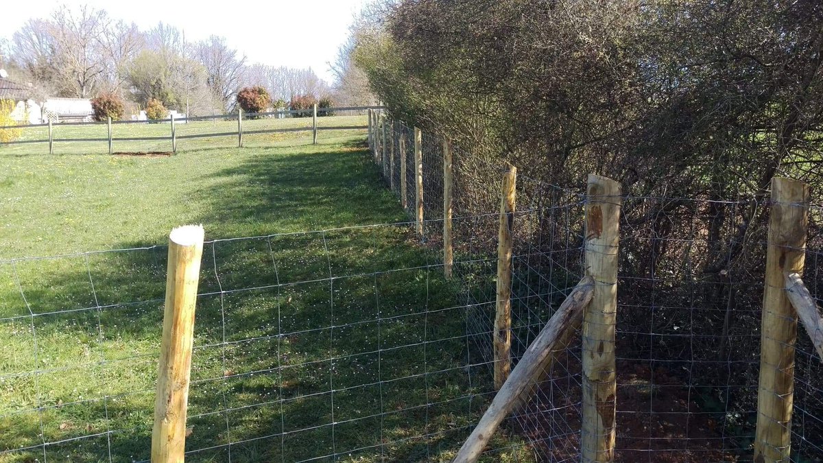 Have just completed 750 metre's of stock fencing and metal gate's at Montbron.
In conjunction with ndfencingandgates.com 

Je viens de terminer 750 mètres de clôtures et de portails métalliques à Montbron.
En collaboration avec ndfencingandgates.com