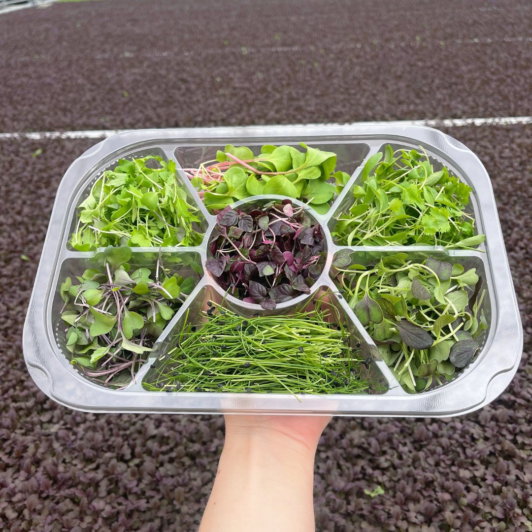 WestlandsUK's tweet photo. Asian Inspired Micro Leaf Wheel π±
With a selection of 7 Asian-style micro leaves, you can whip up some pretty awesome tasting meals. π
Did you know that our new wheels are now 100% recyclable? β»οΈ
#edibleleaf #edibleleaves #microleaf https://t.co/0YNtWf8nCM