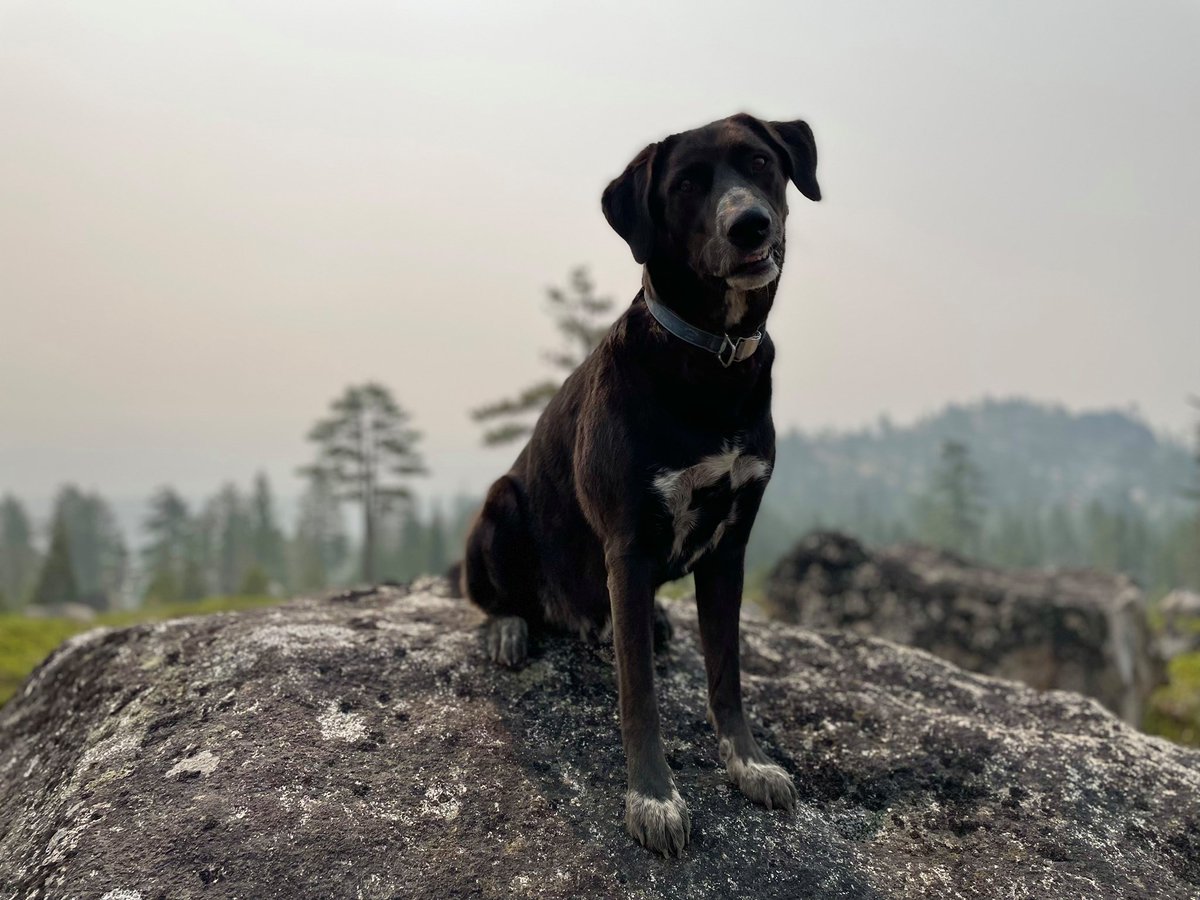 TahoeRimTrail's tweet photo. Smoke is back in Tahoe with vengeance. #NWSReno models indicate sustained poor air quality lasting through at least Saturday night. This is not the time to recreate outside! https://t.co/CfABpWfAGr