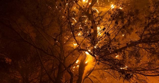 cignialo_GR's tweet photo. Αν πρέπει να μιλήσουμε για φλόγες - https://t.co/InVL41DDFV https://t.co/jG5wD6ynY4