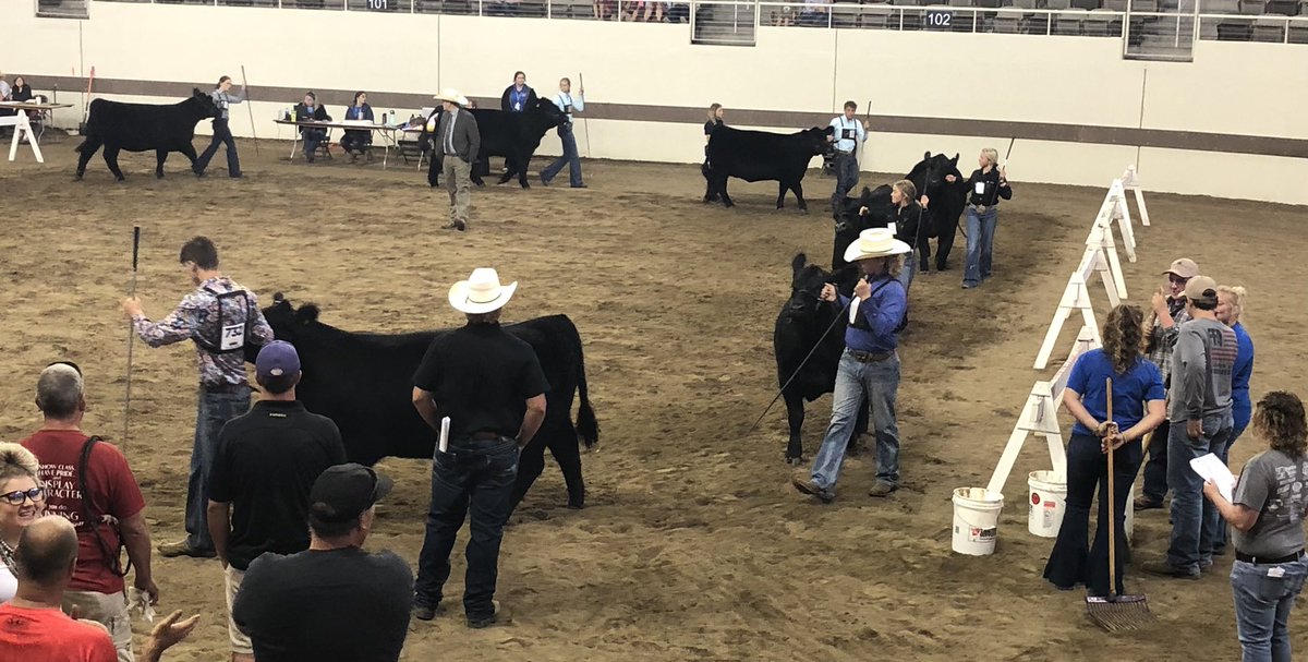 ABarton_EH's tweet photo. A day in the life of Eastern Hancock students at @IndyStateFair. Our band had a great performance and our Ag students had a successful day in the show ring. #EHRoyalPride https://t.co/OE4Jw39ctY
