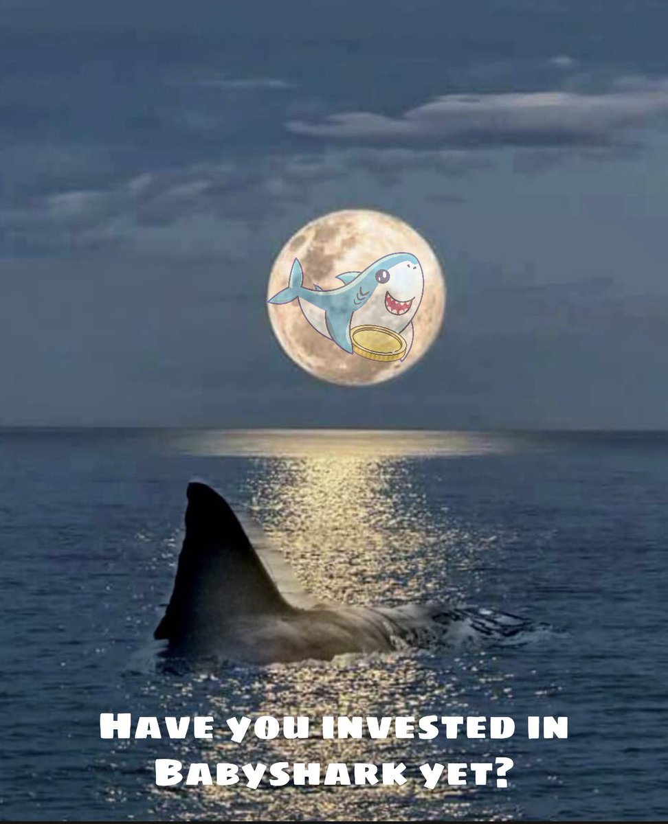 TGuacamoto's tweet photo. @ThirstyToken @babydoge @ERTHToken @BabySharkToken @SPE_Token_BSC #BabySharkToken #CryptoWithConscience #SavingTheOcean #ToTheMoon https://t.co/laIKKSxsXe