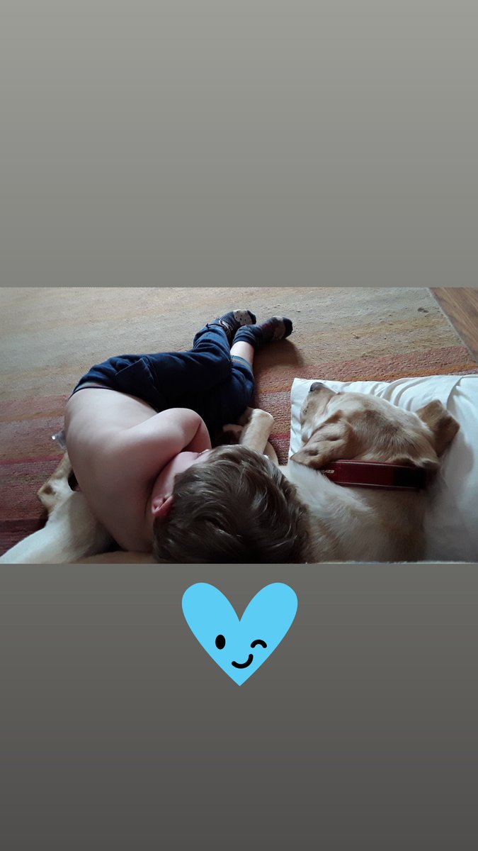 EmBigBird's tweet photo. @charliersmith1 Best friends  Wills and Jack 💙 big love n huggles xxx https://t.co/rJj1ZbvUQI