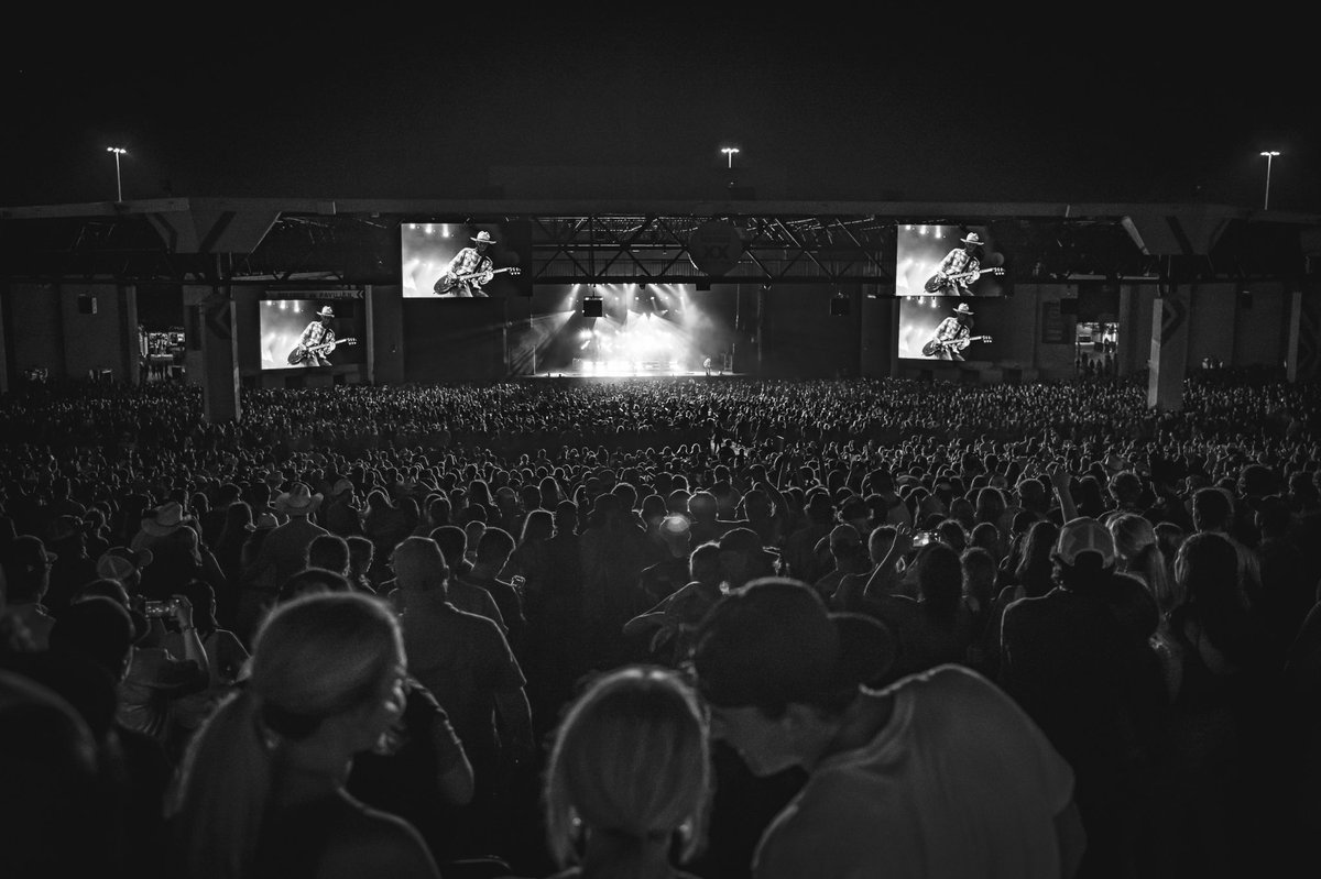 What a Night