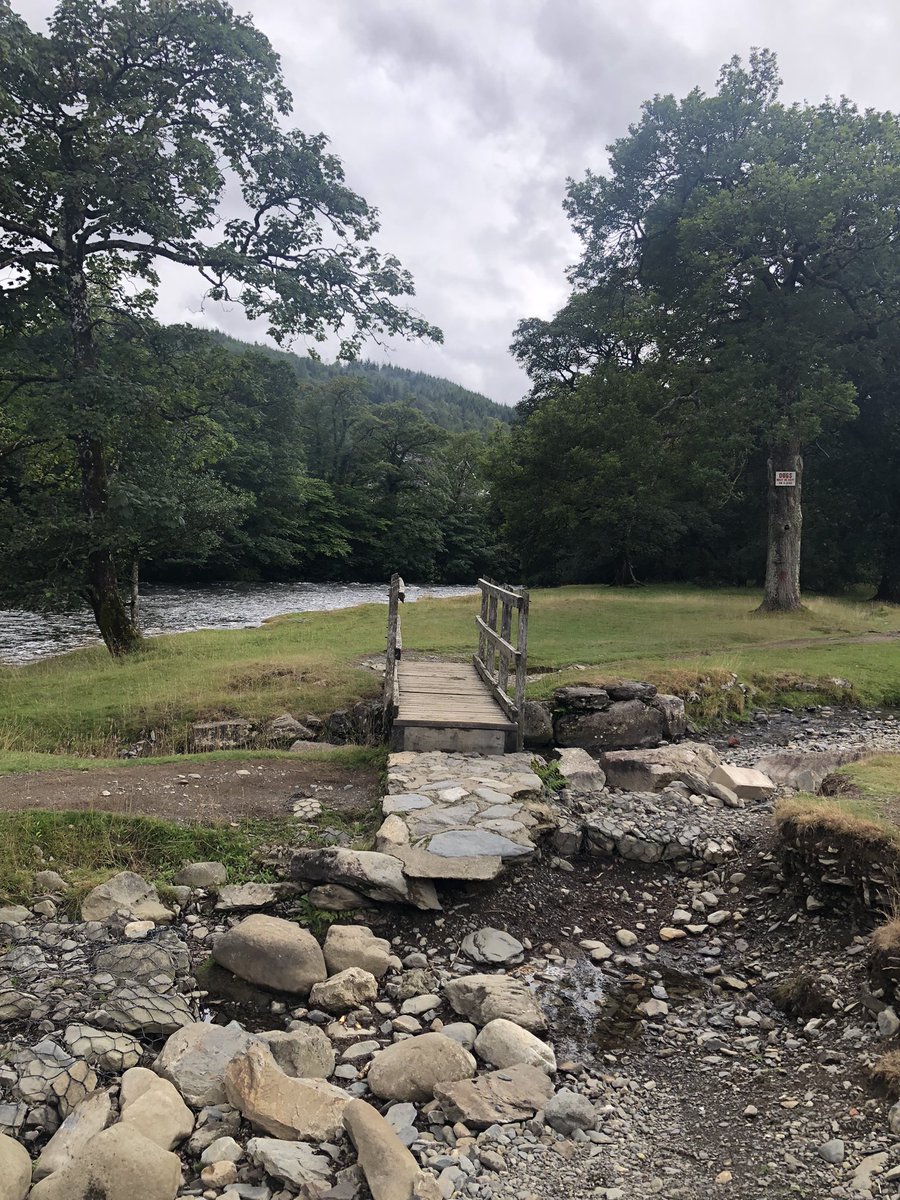 Alison Hadley 🛵 tweet media