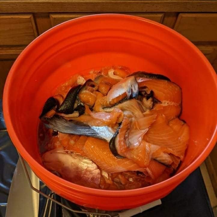 WeedSTGood's tweet photo. Coming soon to @FermPlantExtrct product line is a special preparation known as "FAA" or Fish Amino Acids.  I've been working with a crew of great individuals to bring small batch craft made natural farming inputs to wider availability.  Teamwork truly does make the dream work. https://t.co/FhLr3kCuUg