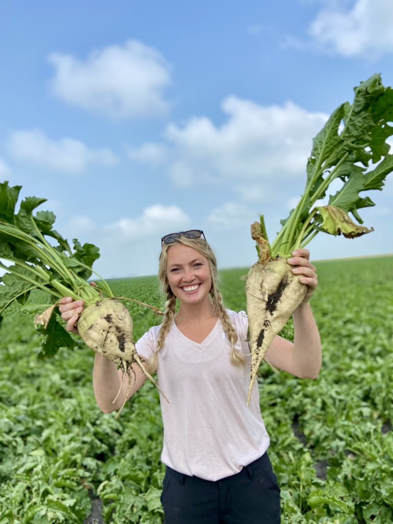 Agriliz_'s tweet photo. The closer that you hold em to the camera the better they look, right? 
#sugarbeet #Provysol https://t.co/v7Zl942pZm