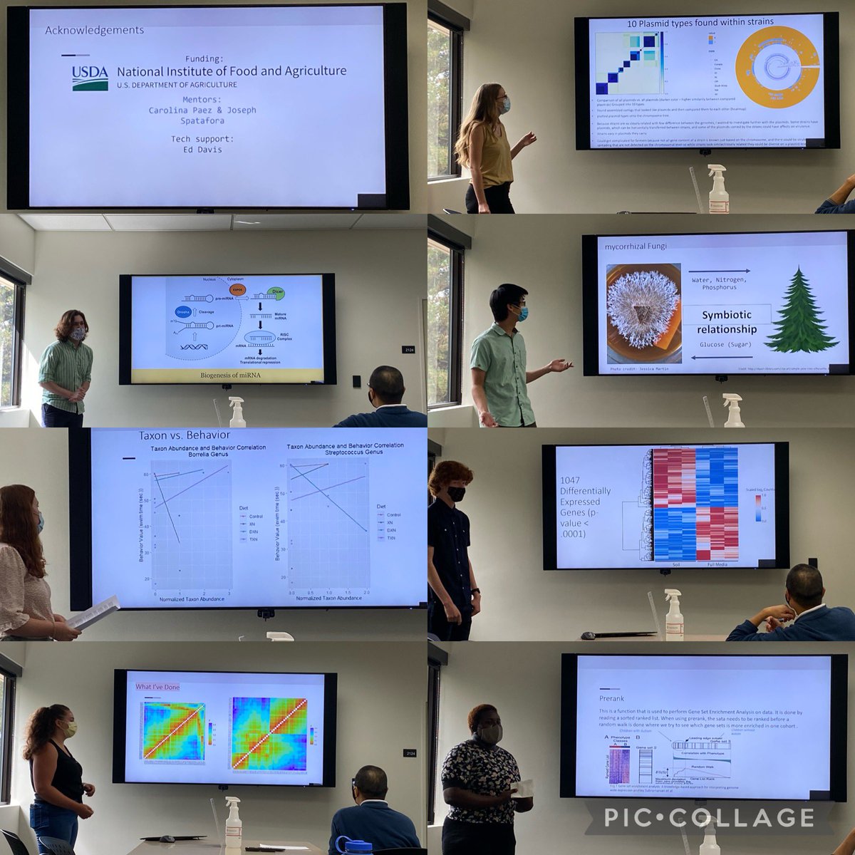 Jessie Uehling (@jessieuehling) on Twitter photo Congrats to all the <a href="/osubpp/">Botany & Plant Pathology</a> USDA NIFA REEU students who finished today! Incredible work by this next generation of computational scientists Congrats to all the <a href="/osubpp/">Botany & Plant Pathology</a> USDA NIFA REEU students who finished today! Incredible work by this next generation of computational scientists