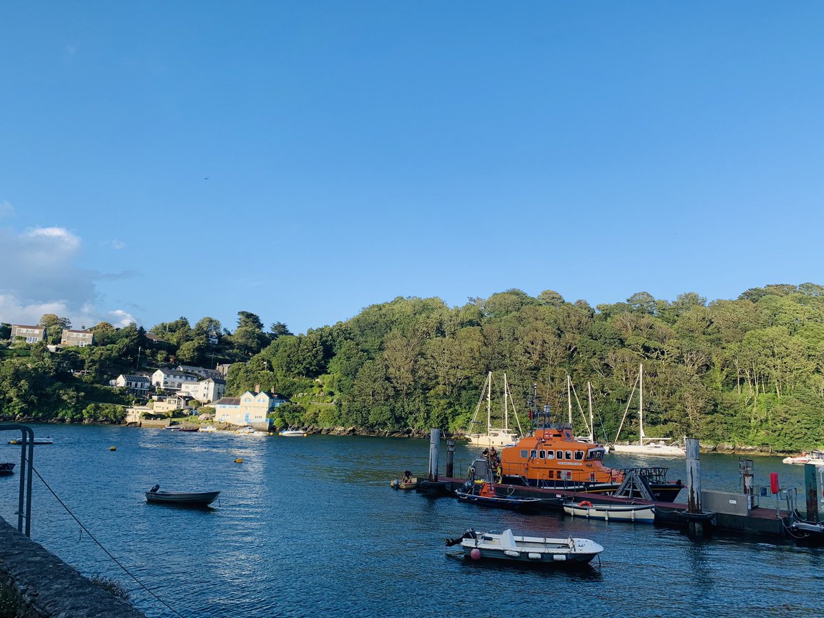 ANDY MAYO tweet media