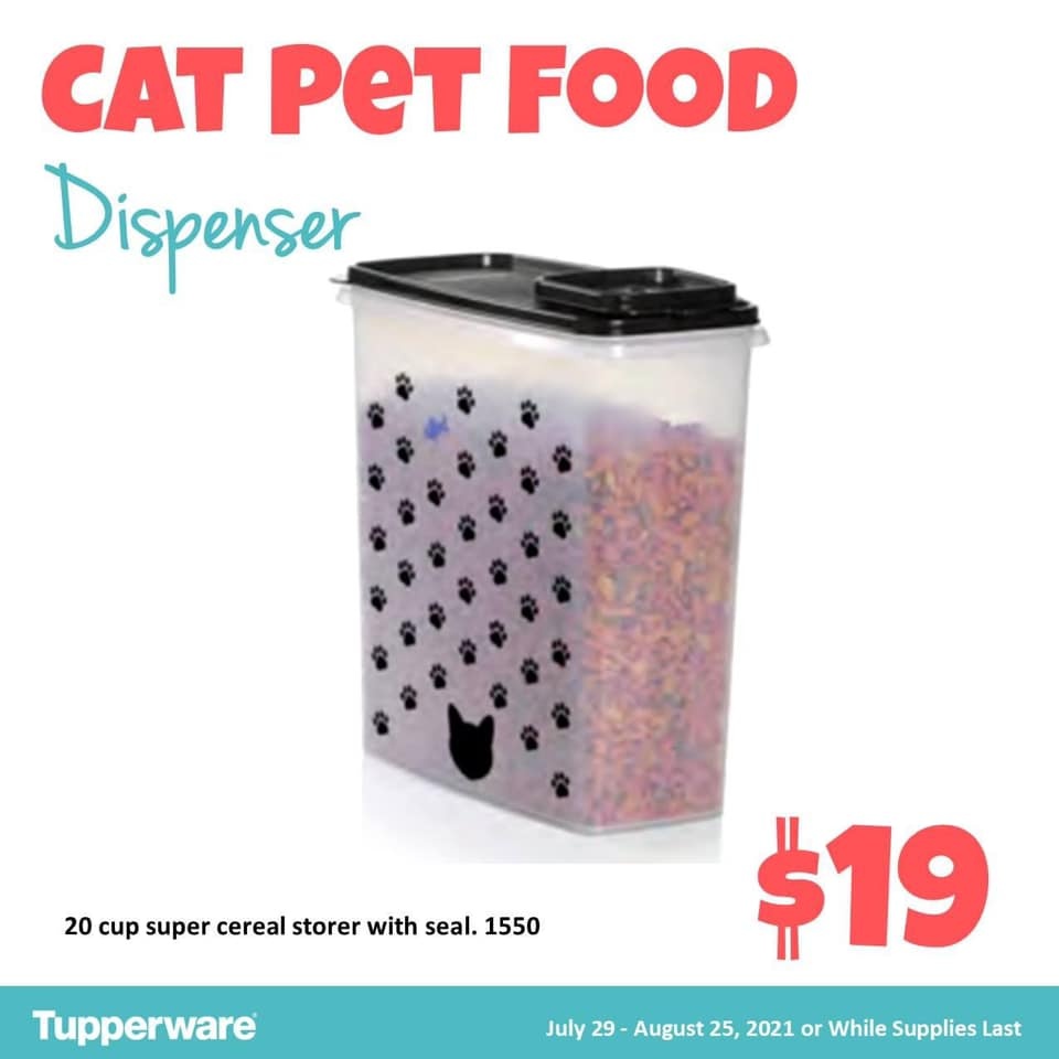 Pearlrj's tweet photo. Are you a Dog or Cat person? Post a photo of your fur baby or a GIF of a fun Pet.

#tupperware has clear food storage containers. Use them for treats or food. https://t.co/1WjxmIw6Gw