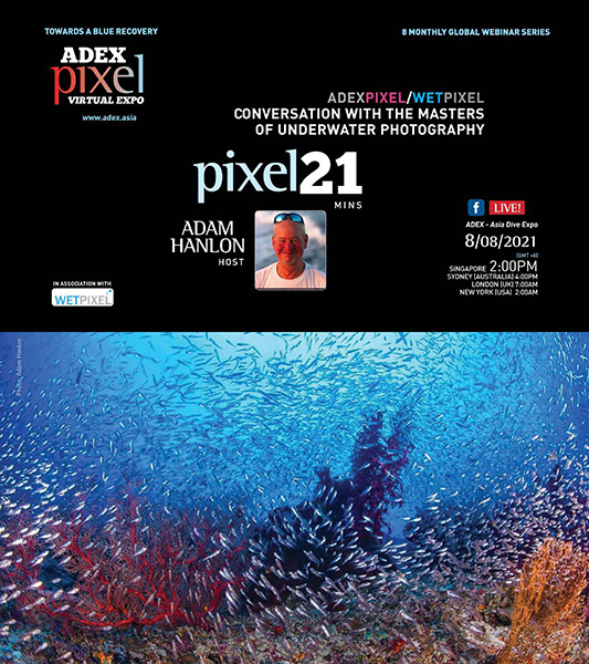 Wetpixel's tweet photo. @Underwater360  and @Wetpixel have joined forces for a series of live online discussions with the Masters of Underwater Photography. They commencing this Sunday at 2 pm Singapore time. Please tune in to check out what gets discussed!

https://t.co/ogyLNBJKG3 https://t.co/frfeNMS8jk