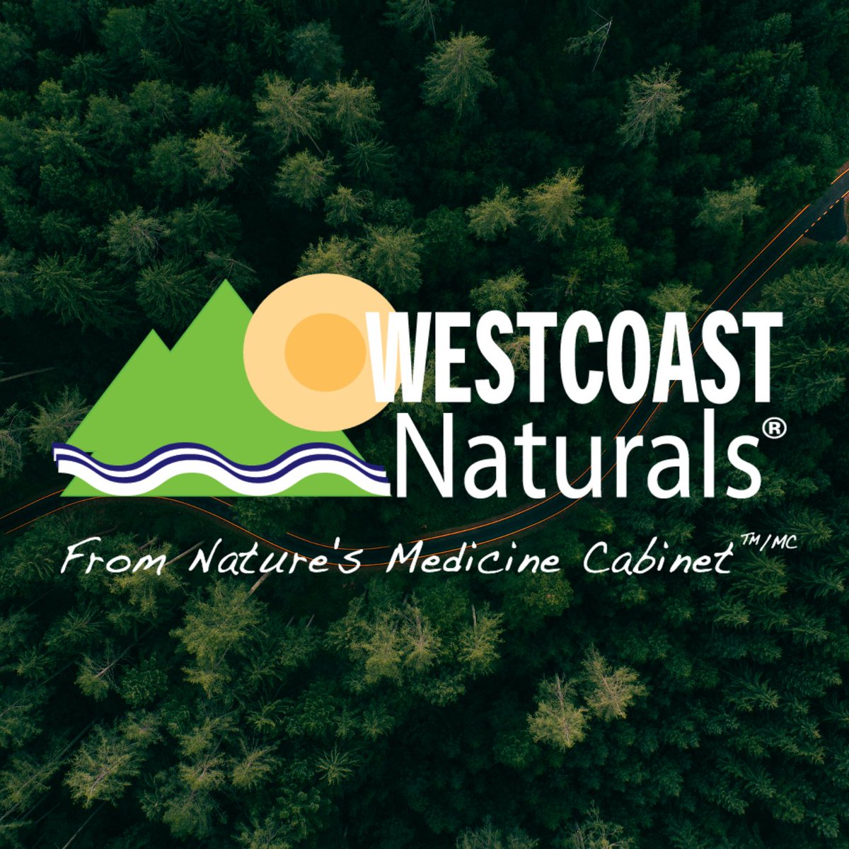 WE'RE BACK AND WE'RE BETTER THAN BEFORE 🌿