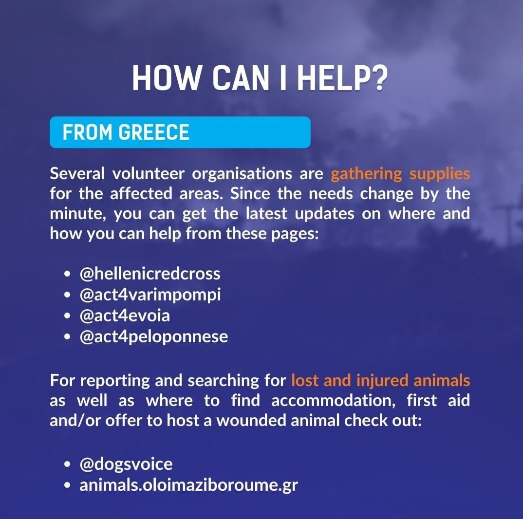 swaggrry's tweet photo. how to help greece ; rt to spread https://t.co/mTKuK8c2wS