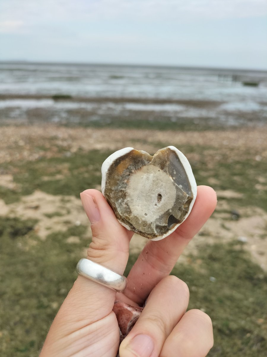 Have you taken the time to listen to what is in your heart today?

📷 - Seasalter beach and Swale Estuary
#heart #heartstone #stones #beach #howareyoufeeling? #emotionalintelligence #seasalter #SwaleEstuary