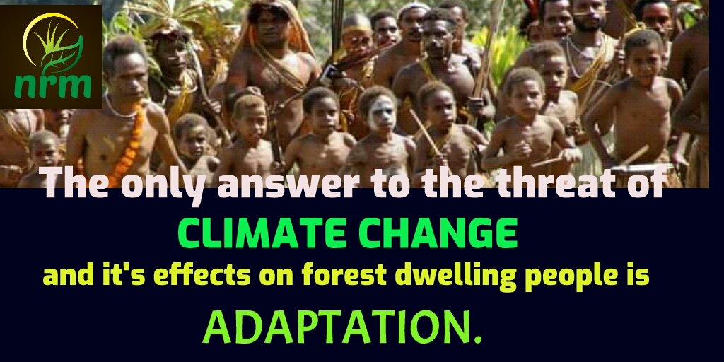 Nature Restoration Movement tweet media