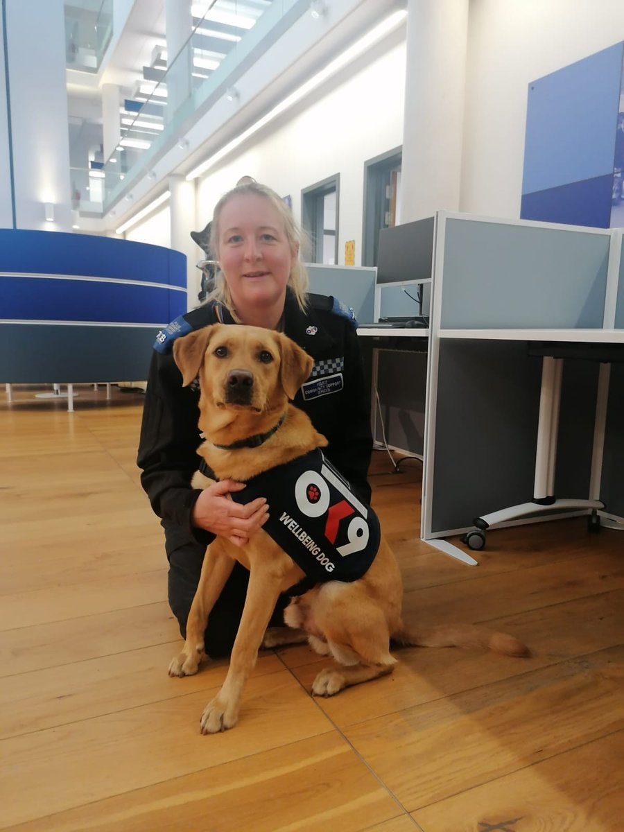 WelfareDurham's tweet photo. Busy day for the team today.  Delivering #TIPT training to a brilliant team with the added bonus of a visit from our @OscarKiloNine Wellbeing Support Dog team. @JetandBen @millerjessicak @policecareuk  @Jackson66Lee https://t.co/C12IhigDIW