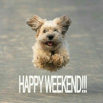WelfareDurham's tweet photo. Busy day for the team today.  Delivering #TIPT training to a brilliant team with the added bonus of a visit from our @OscarKiloNine Wellbeing Support Dog team. @JetandBen @millerjessicak @policecareuk  @Jackson66Lee https://t.co/C12IhigDIW