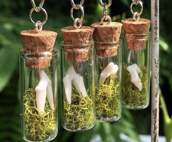 botanicalb0nes's tweet photo. Curio earrings, available now!🌿🦴🍄 https://t.co/u98jvVLPbM https://t.co/xymQ0Fcd87