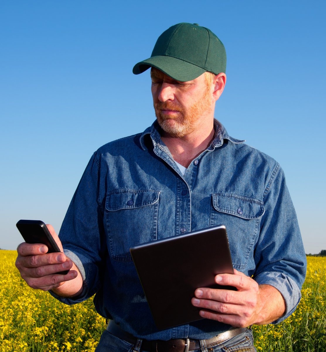 View grain contracts, settlements and more. Download and filtering options make your data instantly useful. Register for free access today. my.chsinc.com