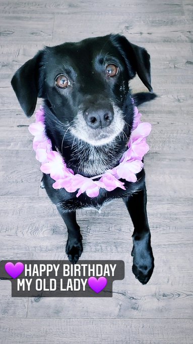 Feel free to wish Jezebel a happy birthday 🎂🥳🎉 She is 8 today! https://t.co/Tj4EoSKrfx<a href="/tag/fetish"class="tags"><span>#fetish</span></a><a href="/tag/pornhub"class="tags"><span>#pornhub</span></a><a href="/tag/bondage"class="tags"><span>#bondage</span></a>