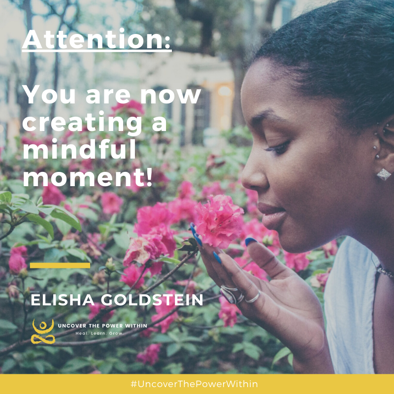 Mindful_Living's tweet photo. Creating space in the day to stop, come down from the stressed or worried mind, and get back into the present moment has been shown to be enormously helpful in mitigating the negative effects of our stress response too.
#MindfulMoment #NowEffect #MindfulLiving https://t.co/vW7OCjRhpI