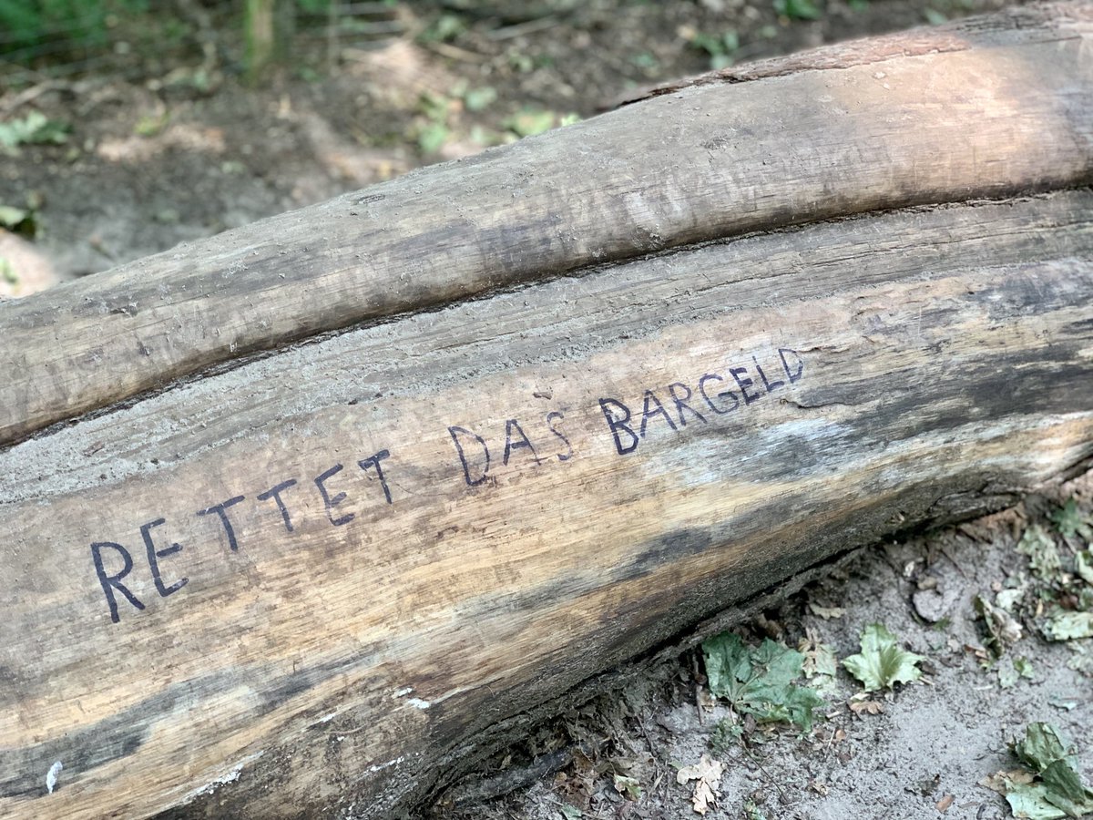 Fundstück im #grunewald. Ich frage mich, wie jemand auf die Idee kommt, ein Plädoyer für das #bargeld dort zu hinterlassen, wo es nichts zu kaufen gibt 🤔