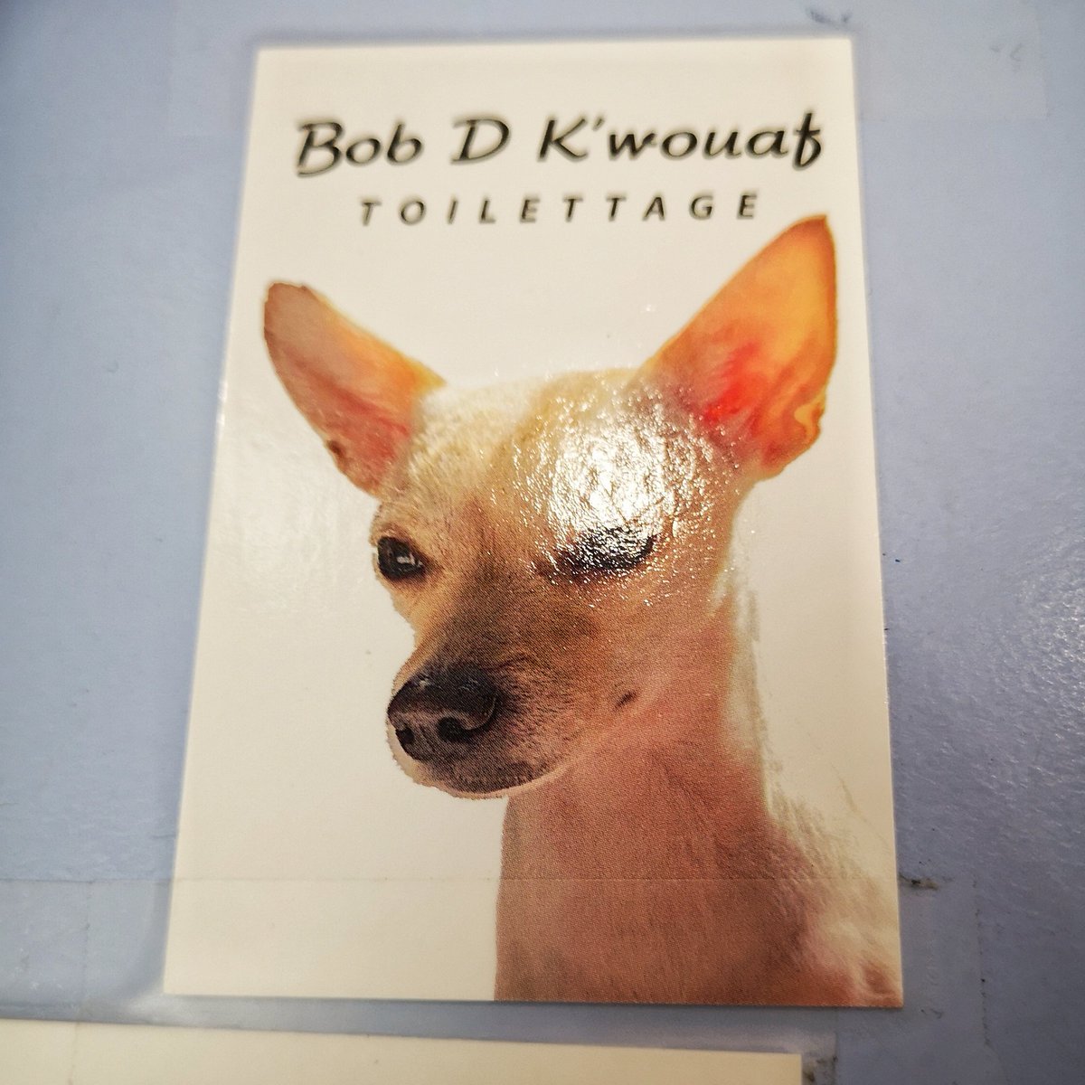 Nain_Portekoi's tweet image. Je ne dis pas qu'il faudrait abattre TOUS les coiffeurs qui font des jeux de mots pourris, je dis juste qu'on devrait quand même en tuer un ou deux histoire que ça calme ceux qui voudraient les imiter