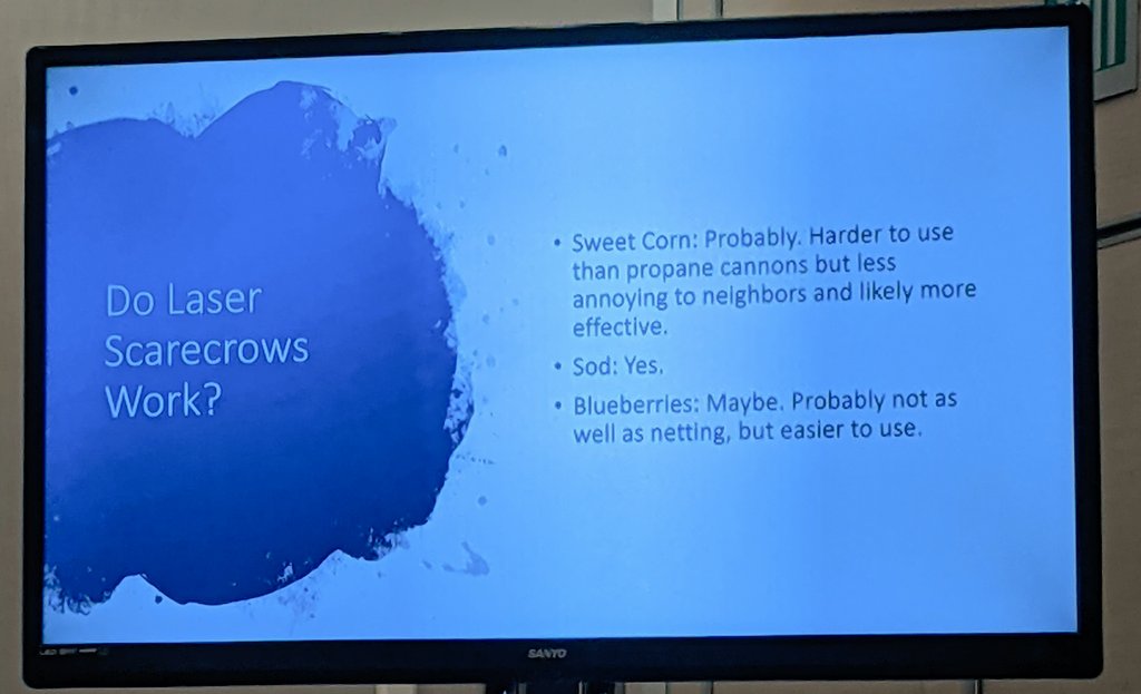 terian 💀💾🌸 tweet media