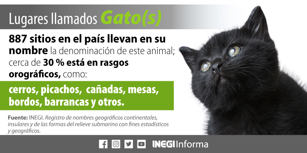 INEGI_INFORMA tweet picture