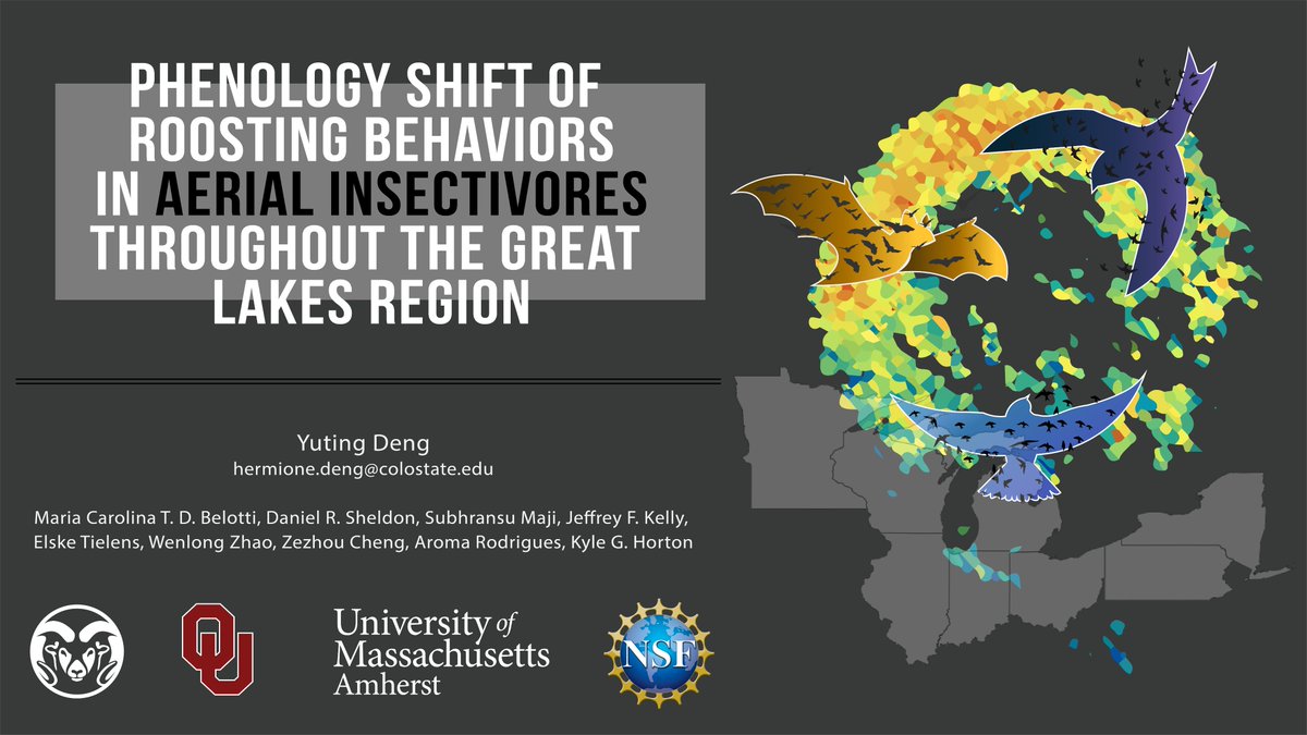 DengHermione's tweet image. Really excited for the #2021AOS_SCO meeting next week! I&apos;ll be sharing my research in the poster session on Wednesday 🕊️🦅🦤🦉🦇

I&apos;ll be talking about the phenology shift of Purple Martins over 25 years using radar data across the Great Lakes region.