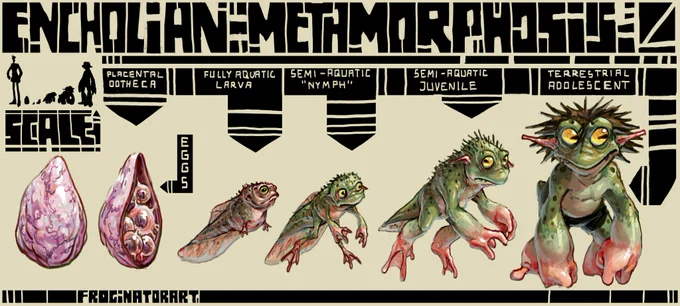 encholian metamorphosis 